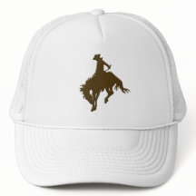 Cheval s'opposant de cowboy Brown