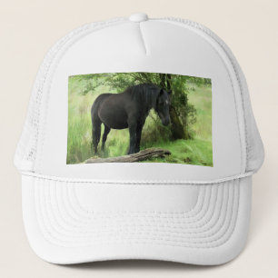 CASQUETTE CHEVAUX