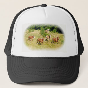 Casquette Chevaux de trait dans le domaine