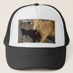 Casquette Chèvre Brown