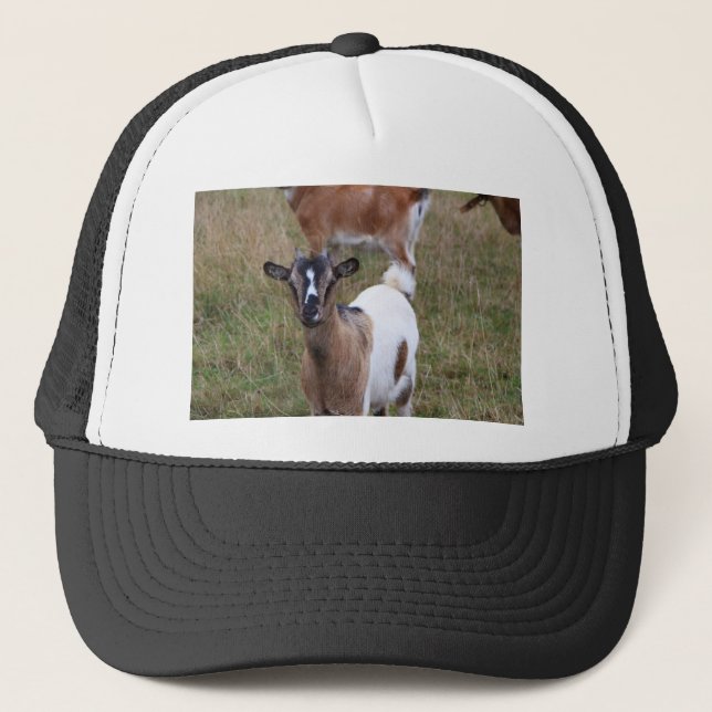 Casquette Chèvre dans un champ (Devant)