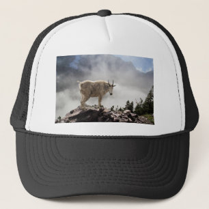 Casquette Chèvre de montagne sur la traînée de passage