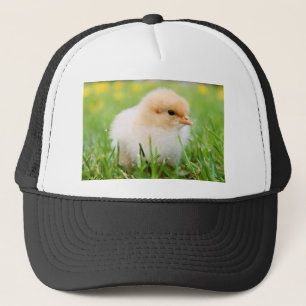 Casquette Chick