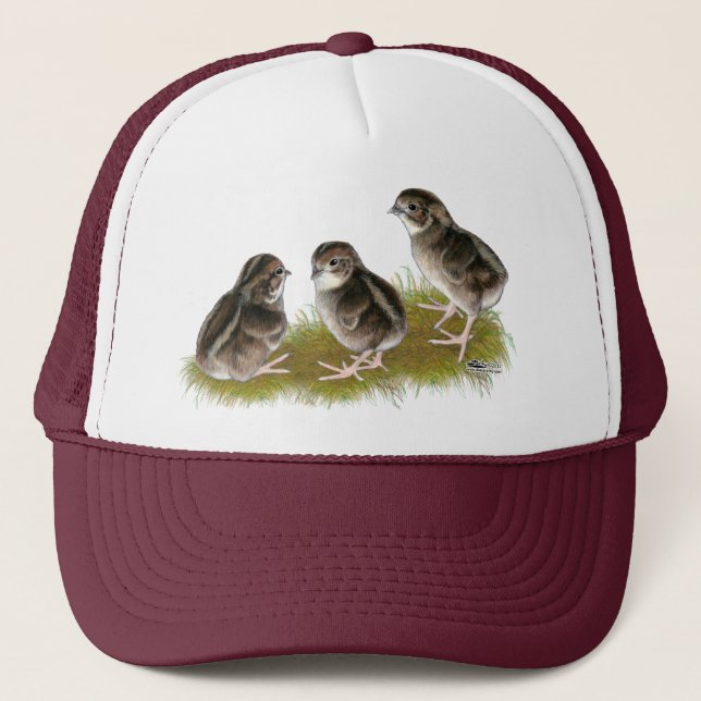 Casquette Chicks de Coturnix (Devant)