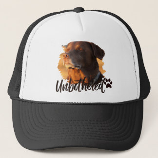 Casquette Chien à l'heure dorée imperturbable – Minimaliste