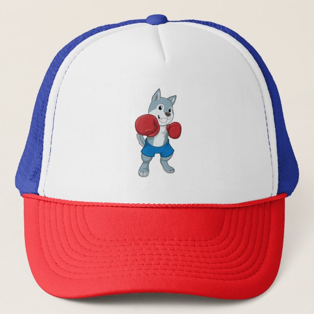 Casquette Chien comme boîte avec gants de boxe (Devant)