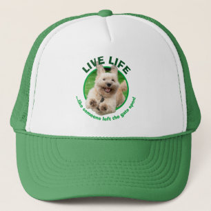 Casquette Chien Courant Dans Le Jardin