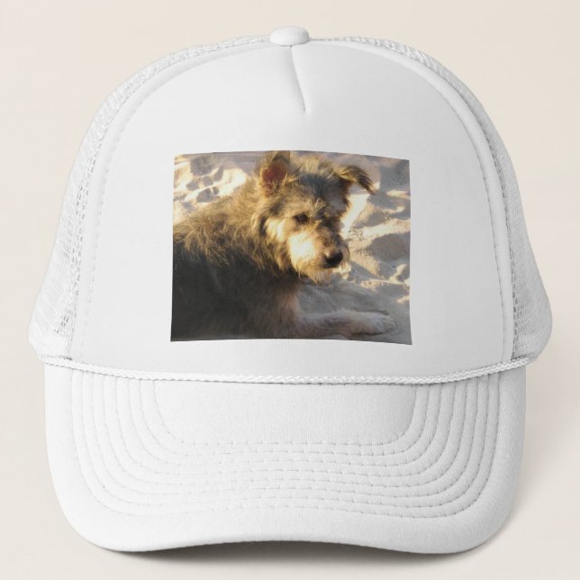 Casquette Chien de plage thaïlandais (Devant)