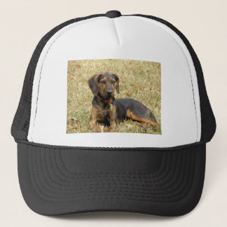 Casquette Chien de Plott