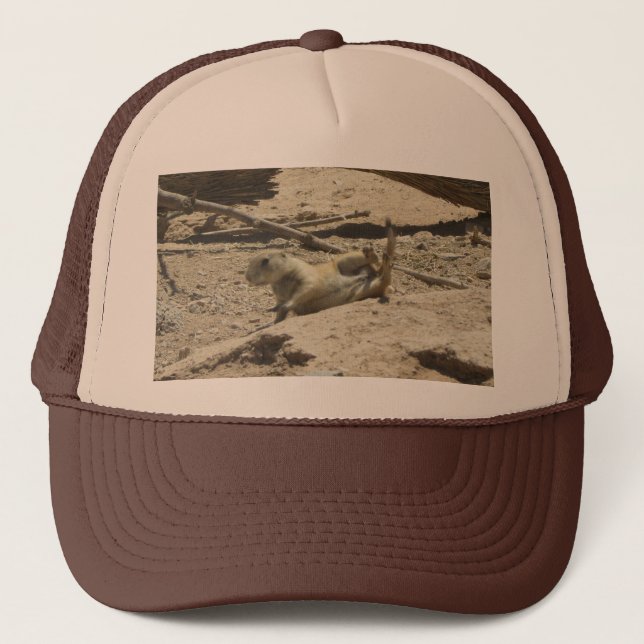 Casquette Chien de prairie en baisse (Devant)