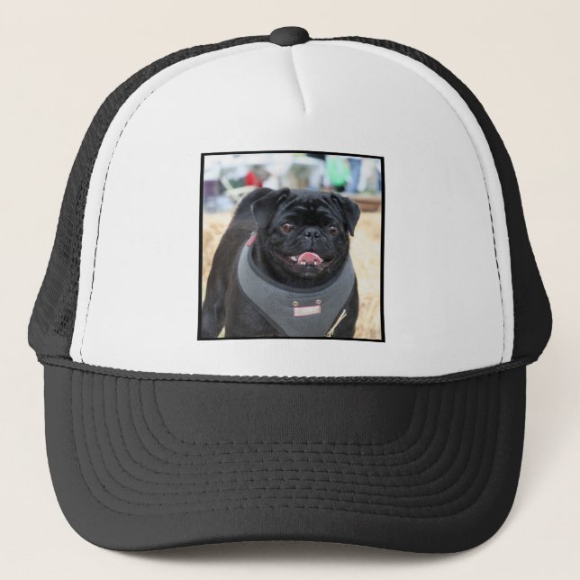 Casquette Chien noir de carlin (Devant)