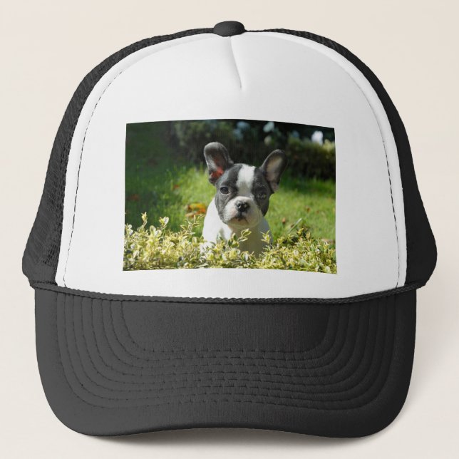 Casquette Chien noir et blanc (Devant)