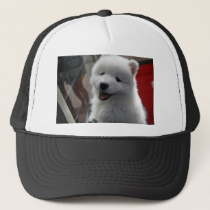 Casquette Chien Samoyède