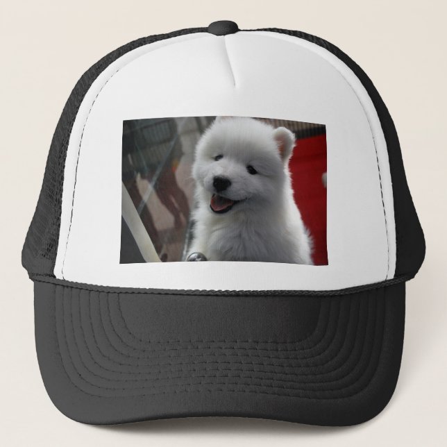 Casquette Chien Samoyède (Devant)