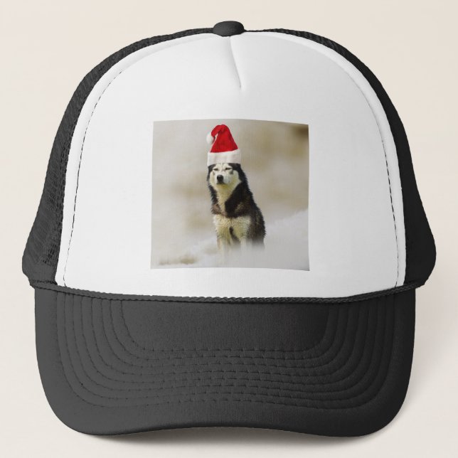 Casquette Chien sibérien Husky avec chapeau de Santa Hat en  (Devant)