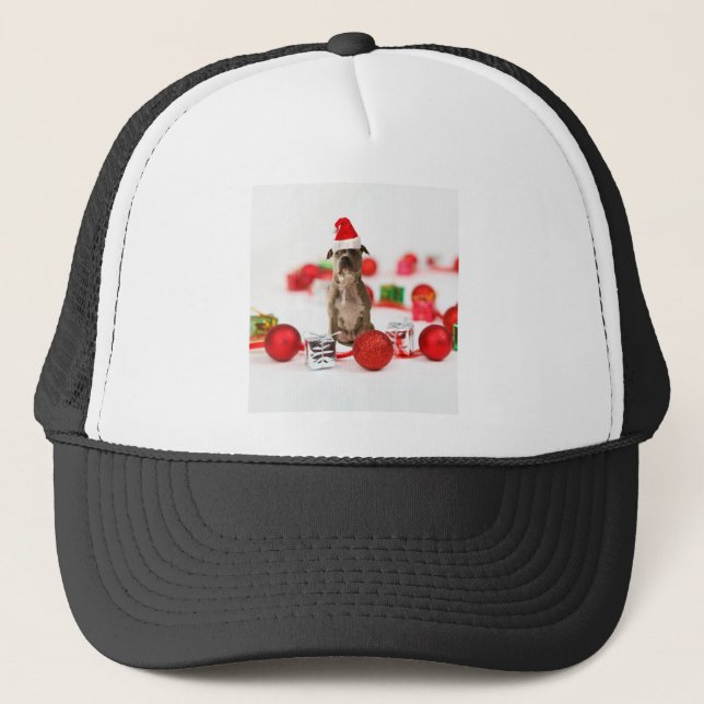 Casquette Chien taureau avec boîte cadeau et ornements de No (Devant)