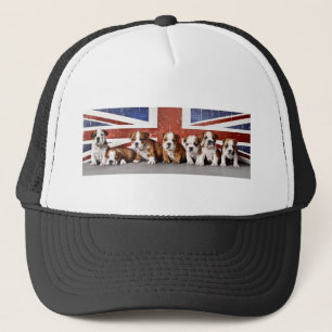 Casquette Chiens de taureaux anglais