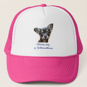Casquette Chihuahua