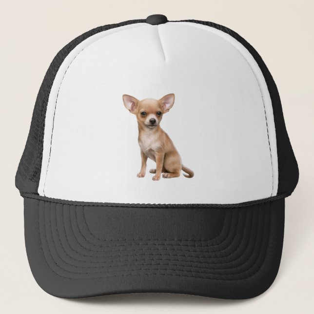Casquette Chihuahua Chien animal animal animal animal animal (Devant)