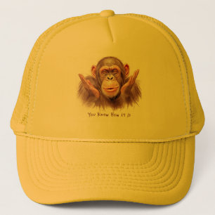 Casquette Chimp Vous Dit :"Vous Savez Comment Ça Marche"