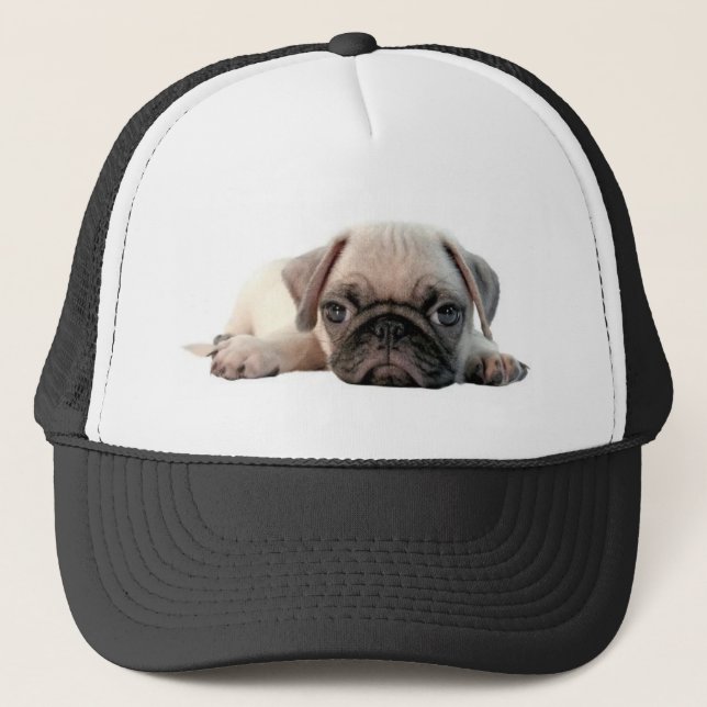 Casquette chiot adorable de carlin (Devant)