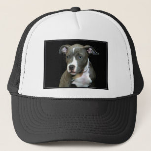 Casquette Chiot bleu de Pitbull