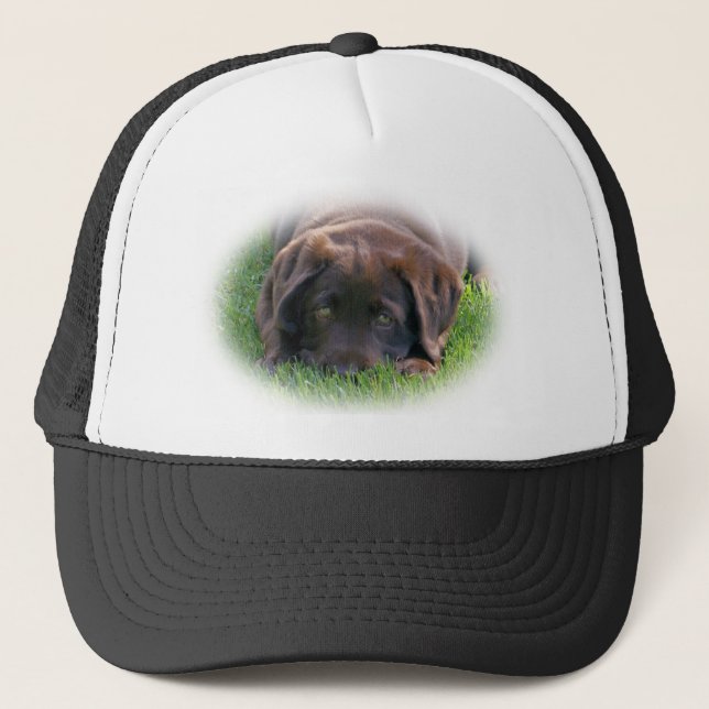 Casquette Chiot de laboratoire de chocolat (Devant)
