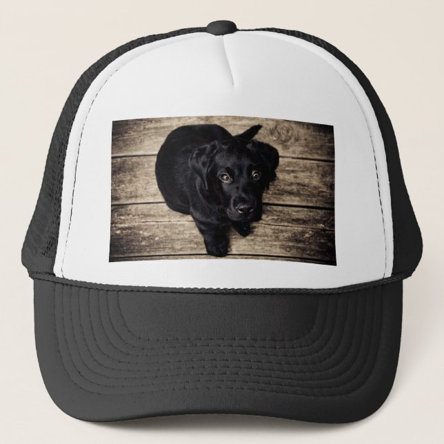 Casquette Chiot de récupération du Labrador noir sur bois (Devant)