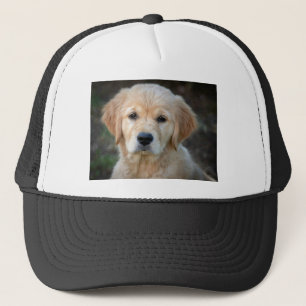 Casquette Chiot Golden Retriever