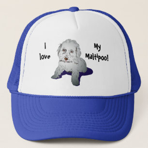 Casquette Chiot mignon de Maltipoo