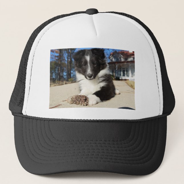 Casquette chiot noir et blanc de SHP de shet (Devant)