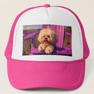 Casquette Chiot Shih Tzu Curieux et Câlin, Chien qui se déte