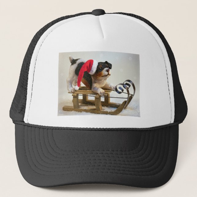 Casquette Chiot sur un traîneau (Devant)