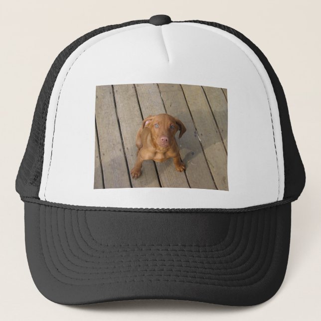 Casquette chiot vizsla (Devant)