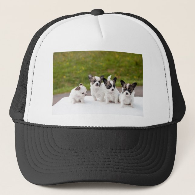 Casquette chiots-453532.jpg (Devant)