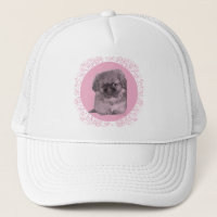 Chiots Pékinois en Rose