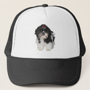 Casquette Chiots Shitzu Shih Tzu