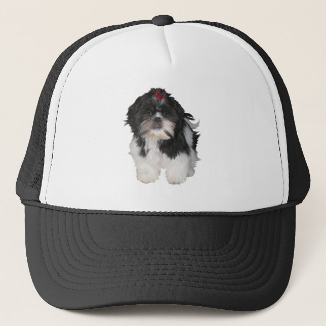 Casquette Chiots Shitzu Shih Tzu (Devant)