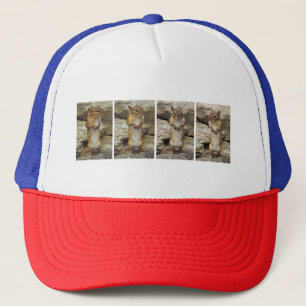Casquette Chipmunk debout