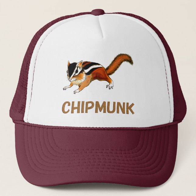Casquette Chipmunk　illustration　(2) (Devant)