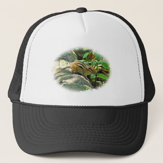 Casquette Chipmunk oriental sur Stump (Devant)