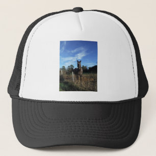 Casquette Chocolat au lait Cheval Brown en bleu