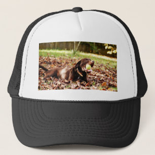 Casquette Chocolat Labrador Jouer Avec Ball