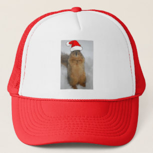 Casquette Christmas Squirrel