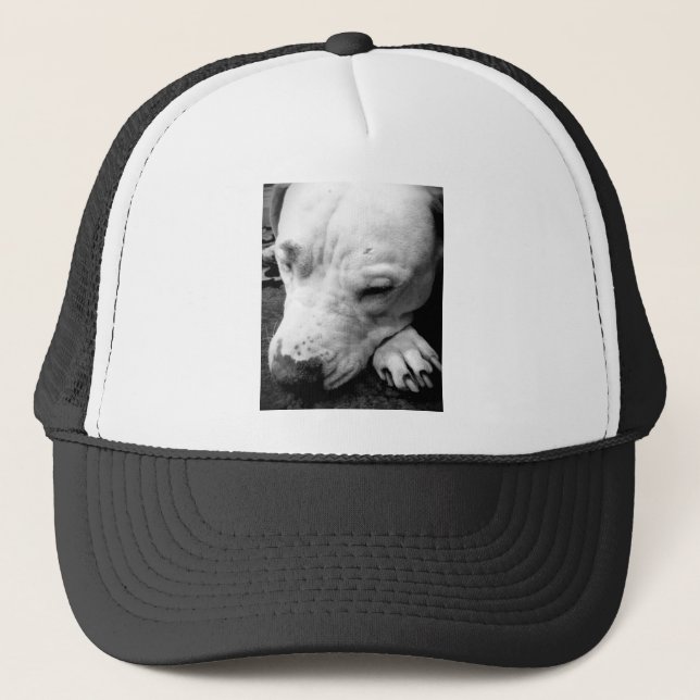 Casquette cicatrice de harry potter chien pit bull blanc (Devant)