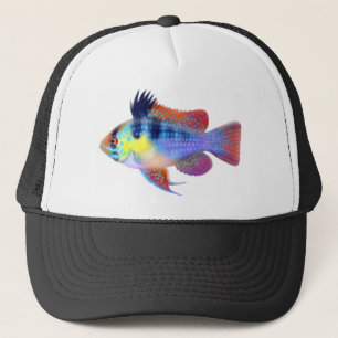Casquette Cichlid bleu allemand de RAM