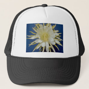 Casquette cierge de floraison de nuit blanche (undatus de