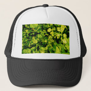 Casquette Cilantro / Coriander Feuilles