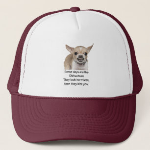Casquette Citation drôle sur la vie avec un chien Chihuahua