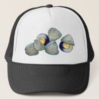 Clams Clambake Rhode Island Nouvelle-Angleterre